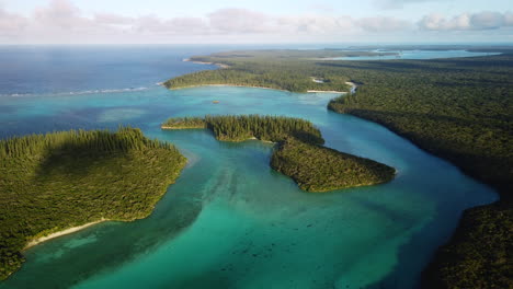 Isla-De-Los-Pinos-En-La-Bahía-De-Oro-En-El-Archipiélago-De-Nueva-Caledonia---Tire-Hacia-Atrás,-Incline-Hacia-Arriba,-La-Revelación-Aérea