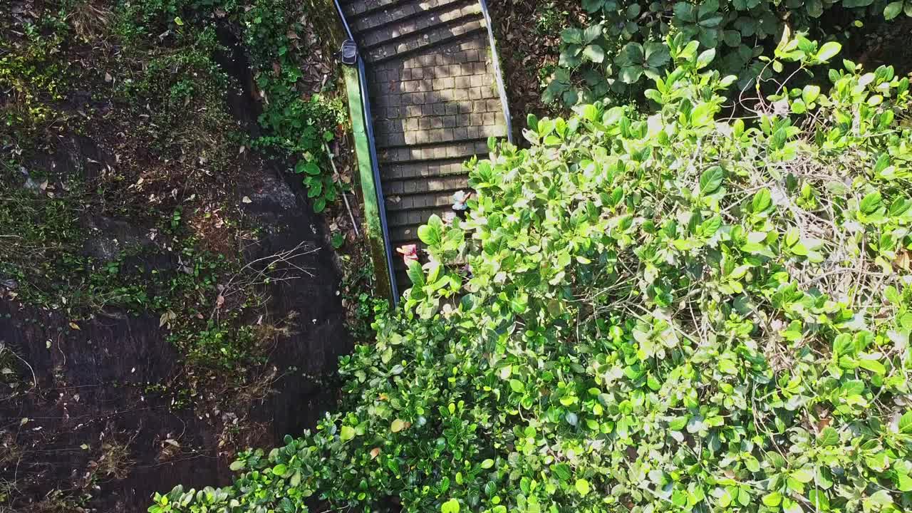 vista aérea de los peregrinos hindúes subiendo los escalones, grandes almohadas en la cabeza, peregrines hindúes, sabarimala