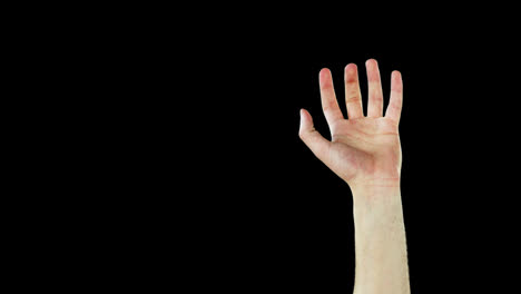 close-up of hands gesturing