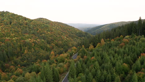 Grüne,-Orange,-Gelbe-Und-Rote-Waldhügel-Im-Frühherbst