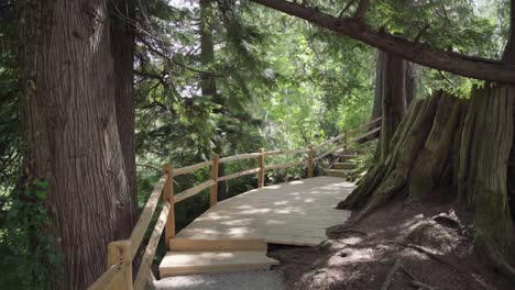 Wooden-bridge-in-the-forest