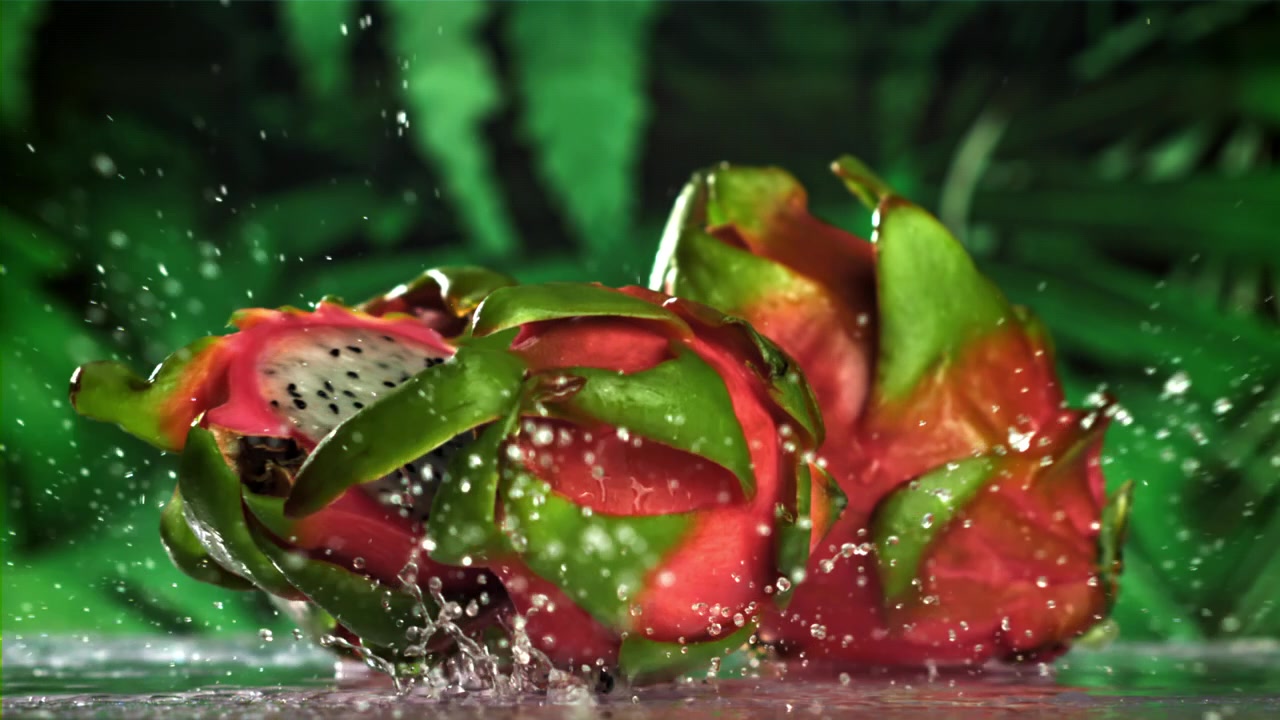 Frutto del drago fresco che cade e si apre con uno schizzo d'acqua.