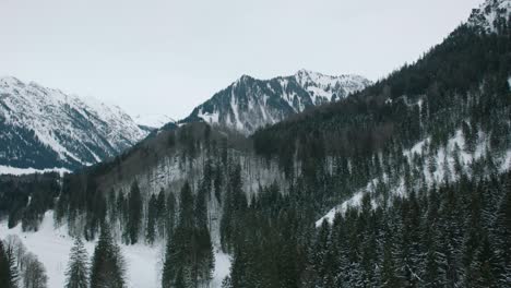 Aerial-view-of-a-dense-snow-covered-pine-forest-with-mountain-backdrop-in-winter