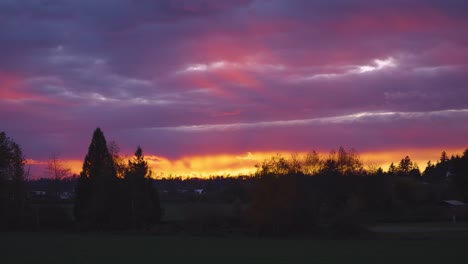 cielo rojo intenso, púrpura, amarillo y naranja al atardecer con árboles en silueta en primer plano