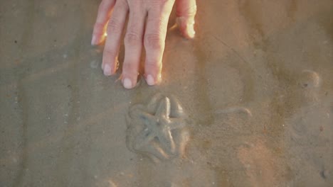Bewegtes-Bild-Der-Hand-Neben-Seesternen,-Die-Bei-Sonnenuntergang-Liegen-Und-Von-Sand-Und-Wasser-Bedeckt-Sind