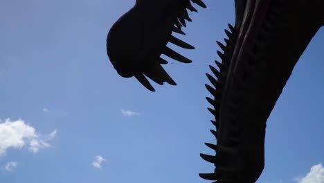 close-up-of-long-teeth-from-massive-giant-beast-head-of-dinosaur-ancient-scary-mysterious-growling-clouds-clear-sky-slow-motion