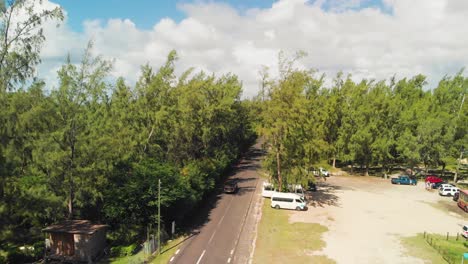 Car-moving-down-a-straight-forest-road-with-trees-on-both-sides-of-the-road