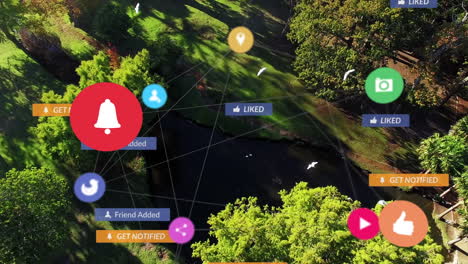 animación de iconos de redes sociales y red de conexiones sobre un parque vacío