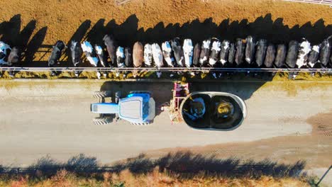 Disparo-A-Vista-De-Pájaro-De-Un-Agricultor-Alimentando-Vacas-En-Una-Granja-Lechera