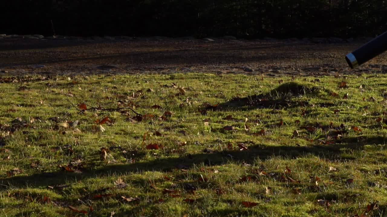 chica con un soplador de hojas