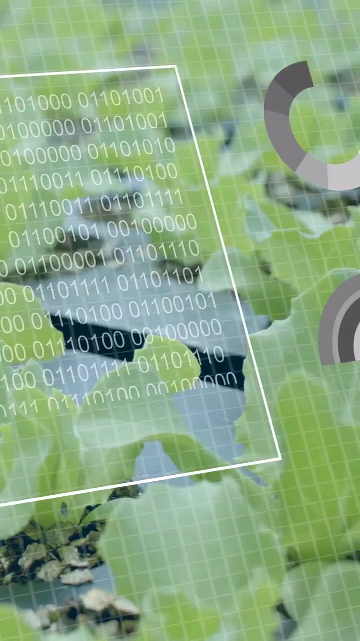 Video vertical: IA iniciando superposición HUD y escaneando plántulas en bandeja de cultivo, mostrando gráficos de crecimiento
