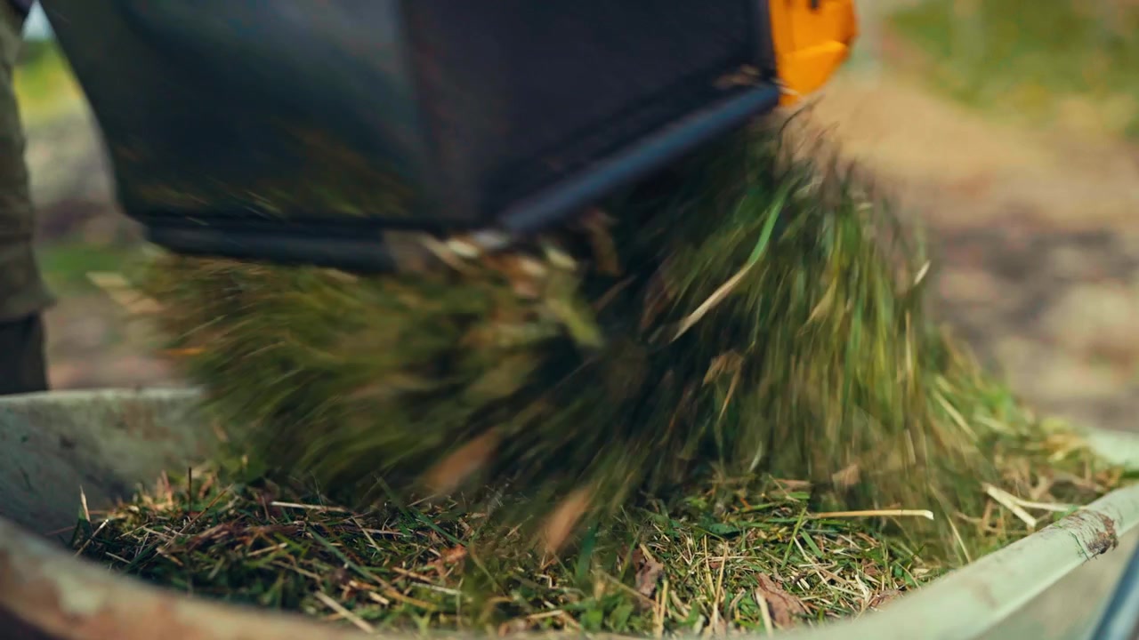 A pile of freshly cut green grass clippings rests on a manicured lawn after mowing