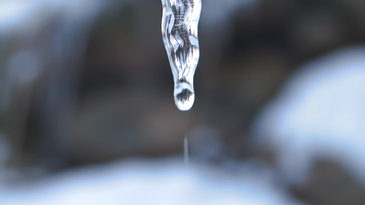 In this serene winter moment, an icicle forms in a cold outdoor setting, gradually melting and releasing droplets of water. The background features soft, blurred snow and nature.
