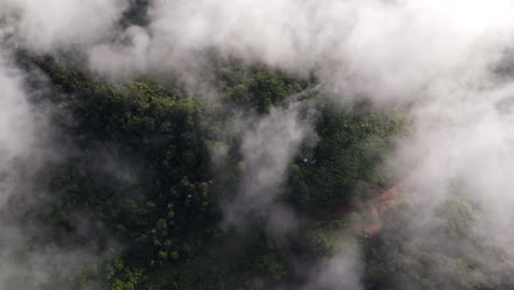 hermosas nubes sobre el bosque tropical en ecuador, vista aérea