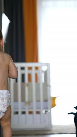 caucasian naked toddler in a diaper walks by the room. kid comes up to a cat, touches it and then runs up to camera. vertical video