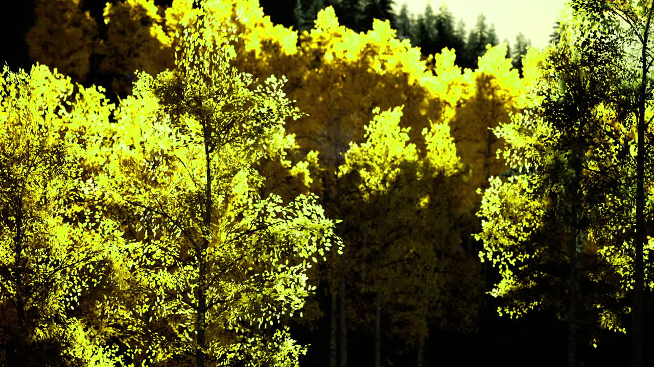 Bright yellow foliage in a serene forest during autumn season