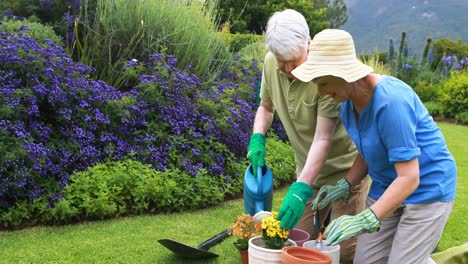 senior couple gardening together