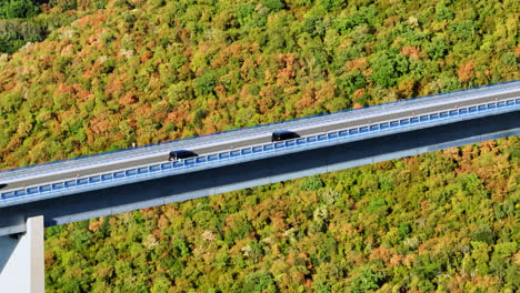 aerial view of cars on a elevated bridge in middle of dry forest of croatia