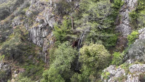 Luftaufnahmen-Von-4K-Drohnen,-Die-Auf-Einen-Majestätischen-Wasserfall-Zufliegen,-Der-Durch-Bäume-Eines-Dschungels-In-Monchique,-Portugal,-Späht