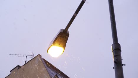 close up of street lamp in a snow