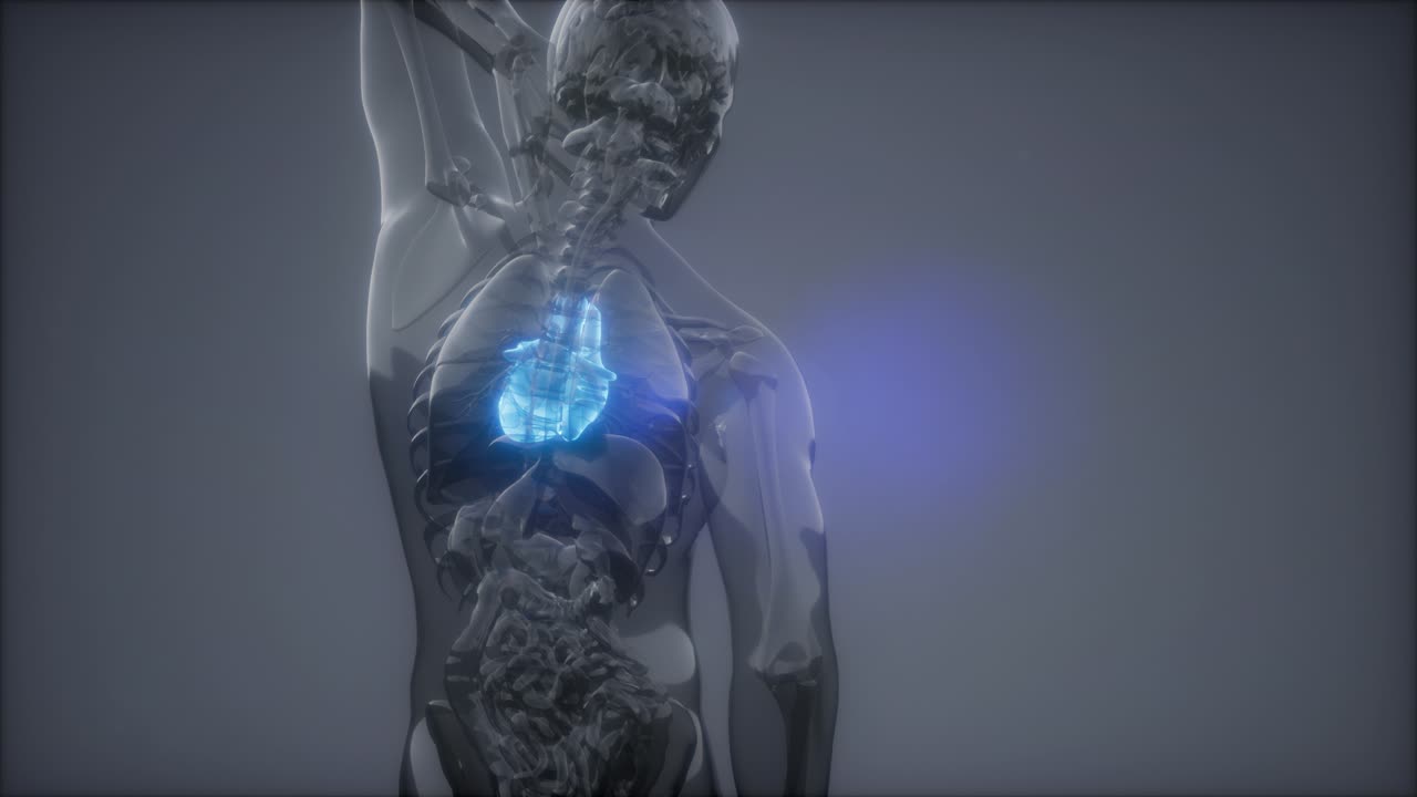 Esame radiologico del cuore umano