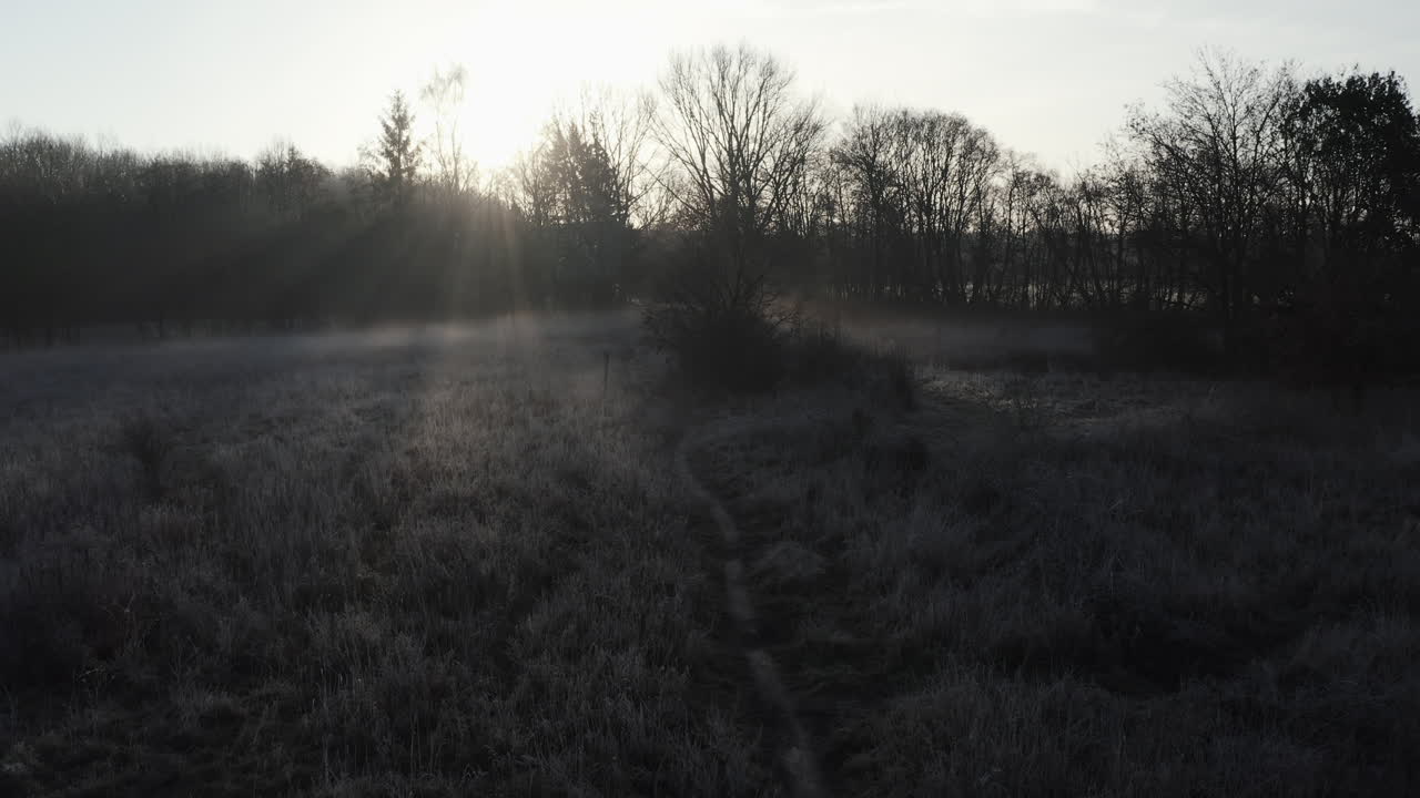 Tidig morgon vinterlandskap, träd och frosttäckta buskar, solstrålar i motljus