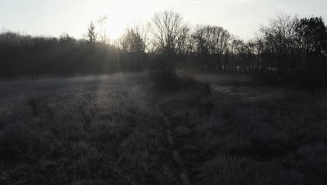 Paisaje-Invernal-Temprano-En-La-Mañana,-árboles-Y-Arbustos-Cubiertos-De-Escarcha,-Rayos-De-Sol-A-Contraluz