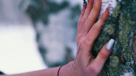 middle-aged-woman-touches-birch-tree-by-bare-hand-in-winter