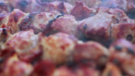 Carne-Cocinada.-De-Cerca.-Carne-A-La-Parrilla.-Macro.-Cocinar-Shish-Kebab-Para-Picnic