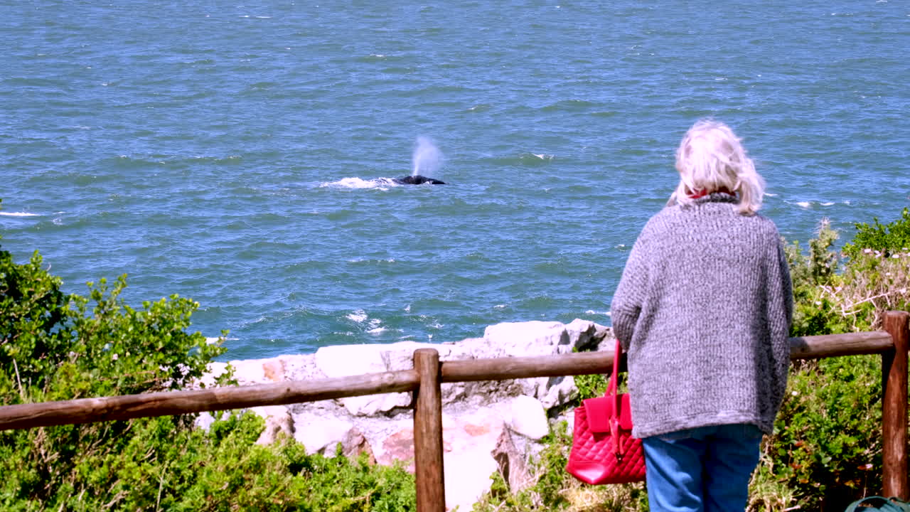 Elderly lady stands on cliff path atop coastal cliffs in Hermanus whale watching