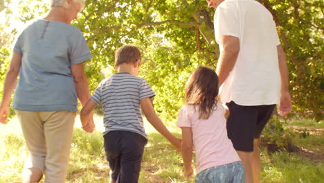 Abuelos-Caminando-Por-El-Campo-Con-Sus-Nietos