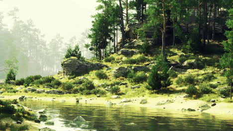 Tranquil riverside landscape surrounded by lush greenery in early morning light