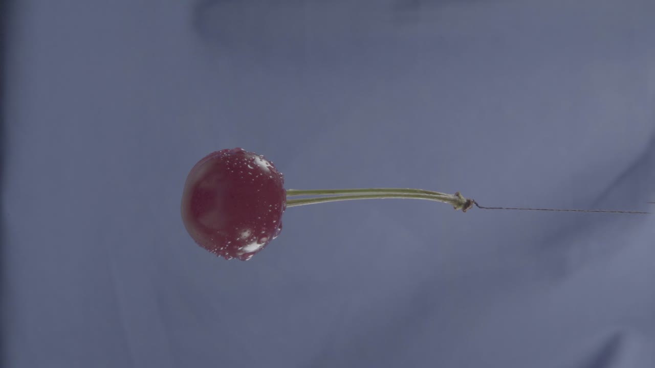 크로마 키를 위해 파란 화면에 루프와 함께 회전하는 체리