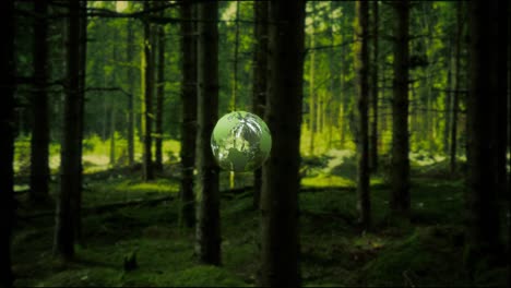 animación en 3d del planeta tierra en forma de bola de cristal giratoria en un bosque verde