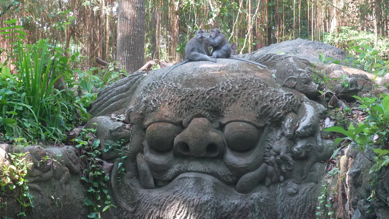 4k cinematic: bosque de monos en ubud - un viaje al corazón de la naturaleza de bali