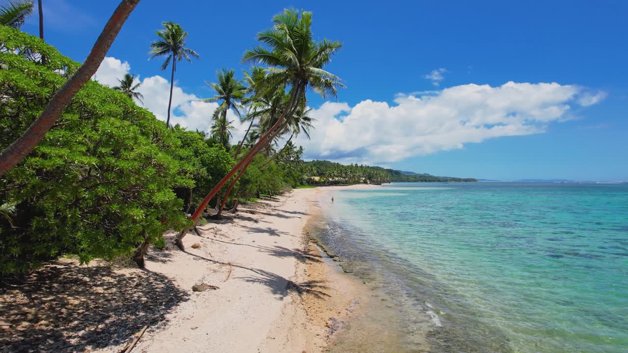 Sandy beach and blue water- aerial fly underneath palm trees towards woman in water