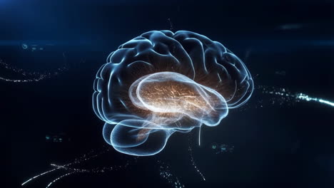 Digital Human Brain Representation with Neural Activity