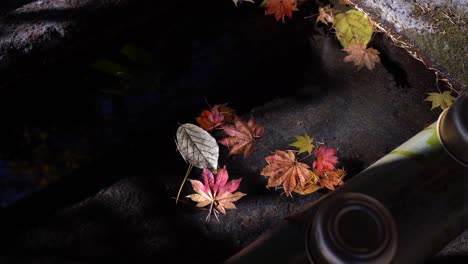 Beautiful-view-to-water-and-ladle-inside-Japanese-temple-with-fallen-autumn-leaves