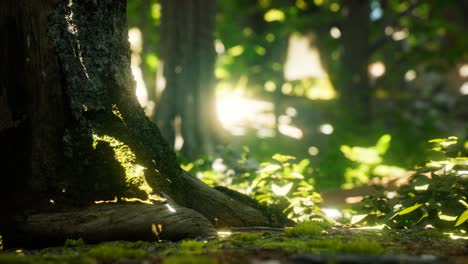 Sonnenlichtstrahlen-Strömen-Durch-Blätter-In-Einem-Regenwald