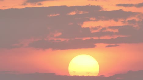 scene nature beautiful big sunset on sky in the evening. background red sunset full and clouds sky