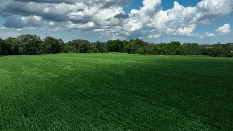 Ländliche-Landwirtschaftliche-Felder-In-Lancaster-County-Pennsylvania-An-Einem-Schönen-Sommertag