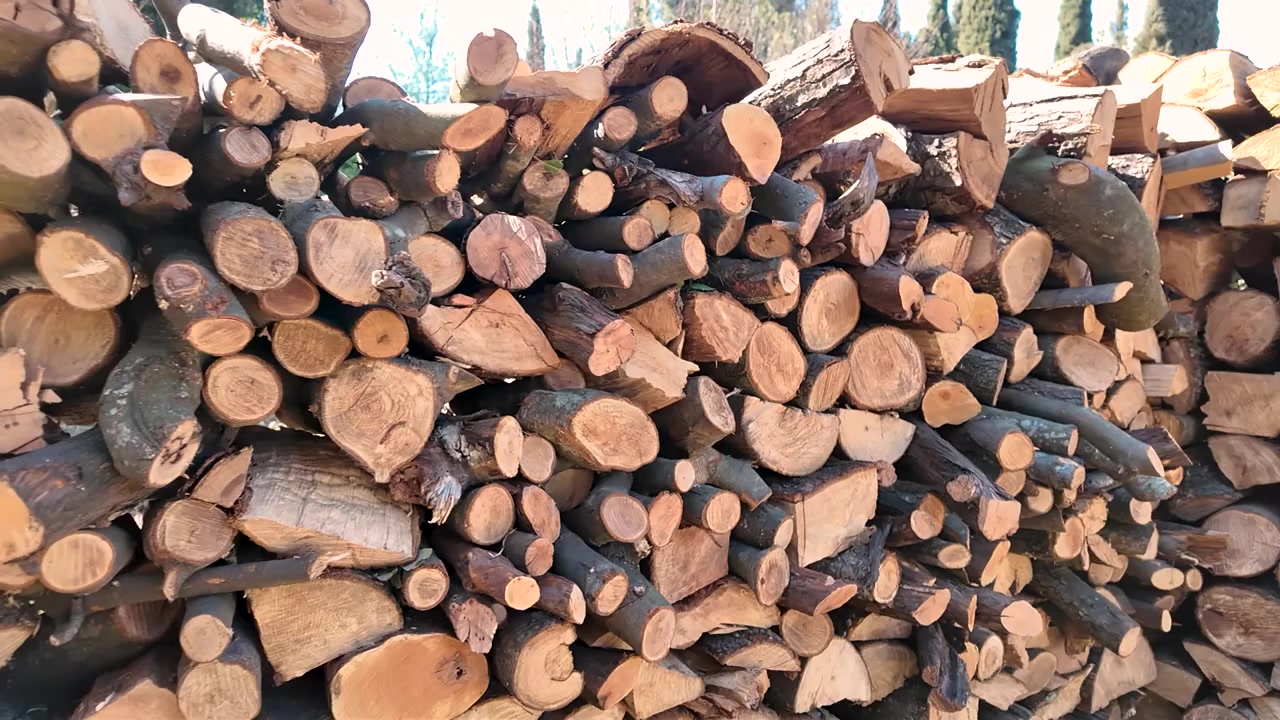 The camera shows a large stack of cut wood piled in a backyard. The wood pieces are arranged neatly, ready for use in the cold months ahead.