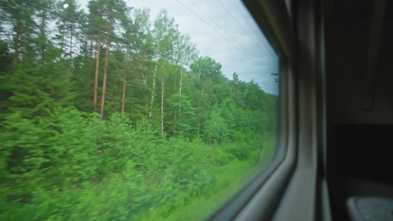 Scenic Train Journey Through Lush Green Forest Landscape