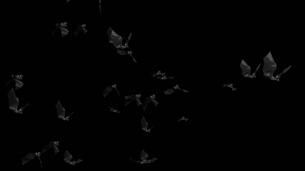 Flying Bats on Black and Green Background