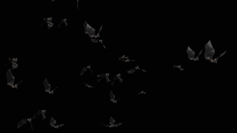 flying bats on black and green background