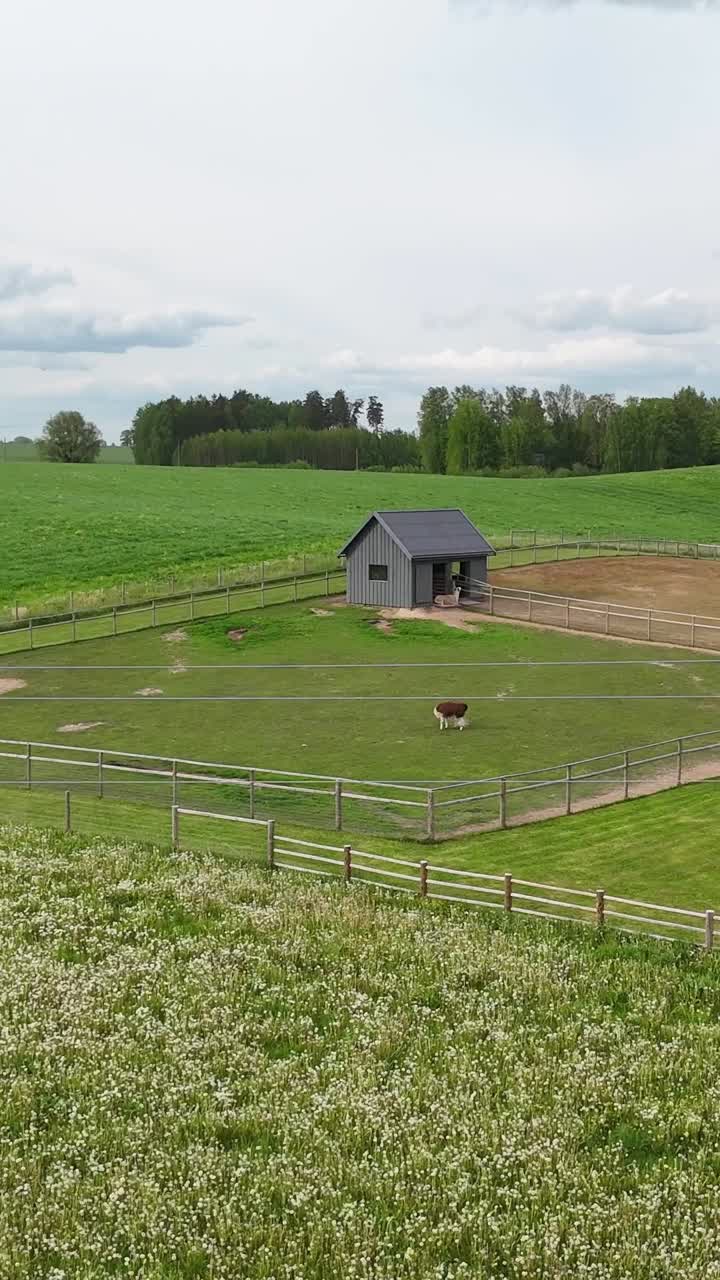 Countryside Charm: Farmstead with Grazing Animals and Spring Flowers