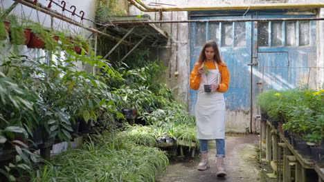 mujer examinando una planta en un invernadero
