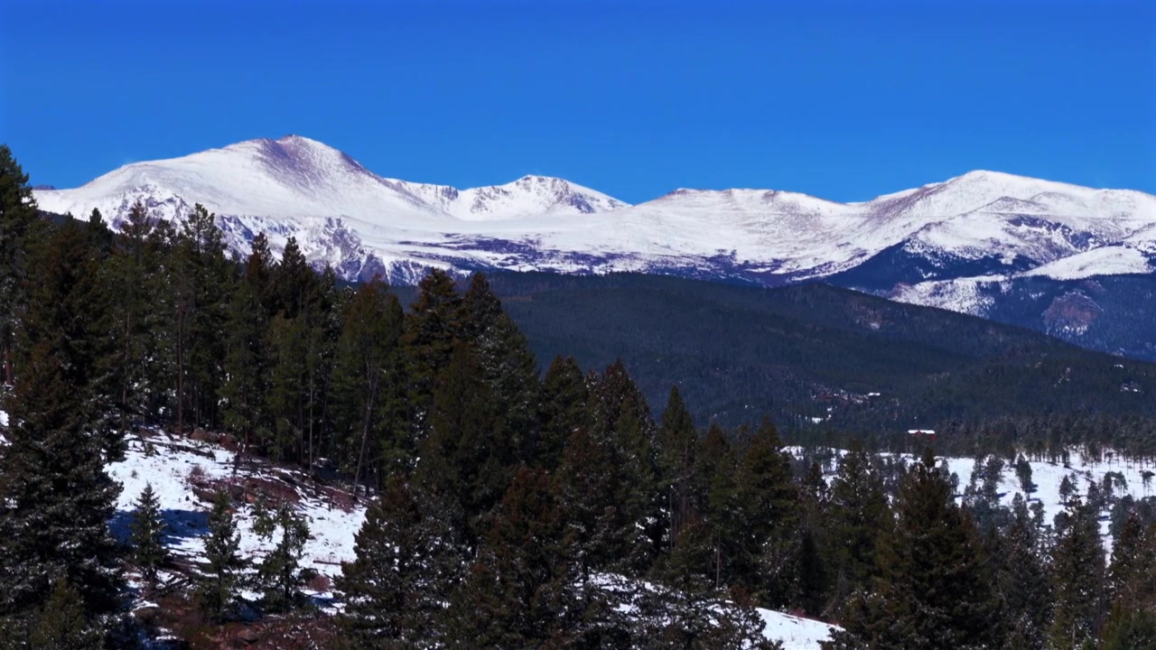 Neve primaverile sul Monte Blue Sky sempreverde, Front Range delle Montagne Rocciose del Colorado. Ripresa aerea con drone di fitti alberi della foresta coperti di neve, con il Monte Blue Sky in una mattina soleggiata e cieli limpidi, nell'Area selvaggia del Monte Evans, con una vista circolare a destra.