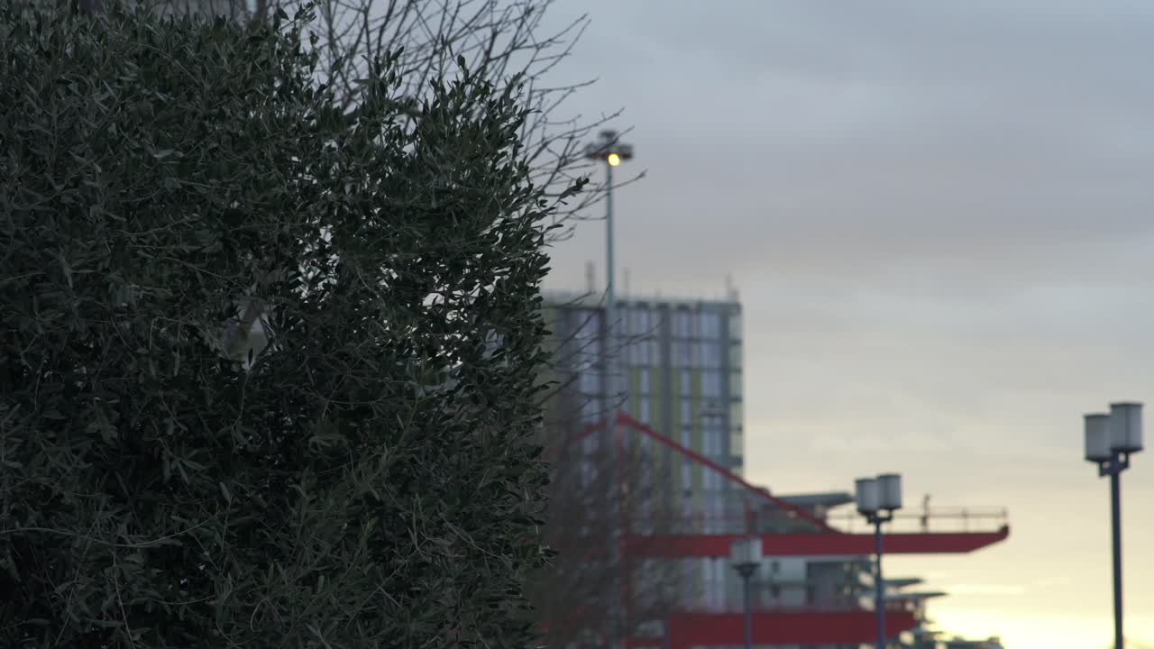 해가 지고 나면 잎과 식물을 는 바람, 곧 폭풍이 불어날 것이며, 끔찍한 바람이 불어올 것입니다.