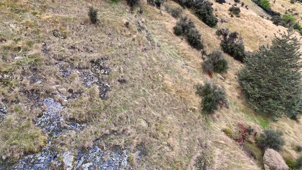 Drone glides downward above grassy hillside, scattered shrubs, and rocky terrain under soft daylight